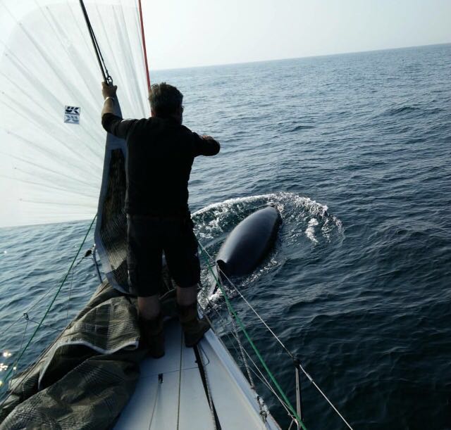 Chasing dolphins   Daragh Cafferkey's Another Adventure